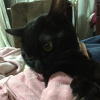おこめ