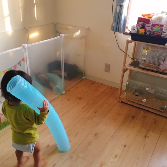 怪獣の母。のカバー写真