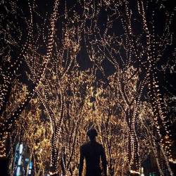 冬本番(๑•̀ㅁ•́๑)✧