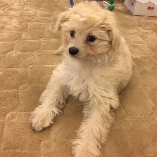 募集一時停止させて頂きます。