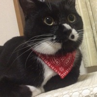 ラヴ