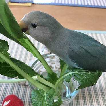 この二重っぽい目の時もたまらなく可愛い！