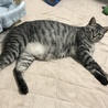 の写真