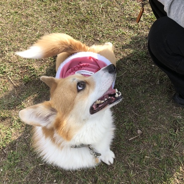 の写真