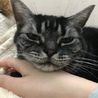 むにょ吉さん