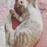  さん