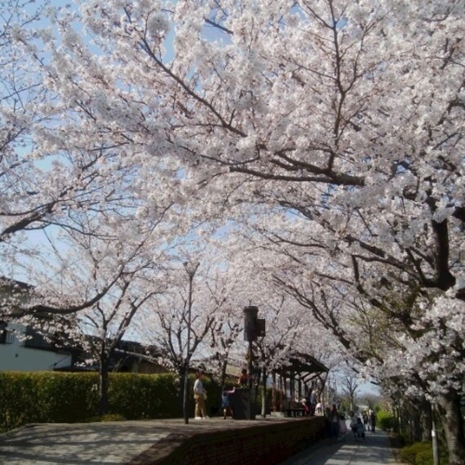 ぐるぐるのカバー写真