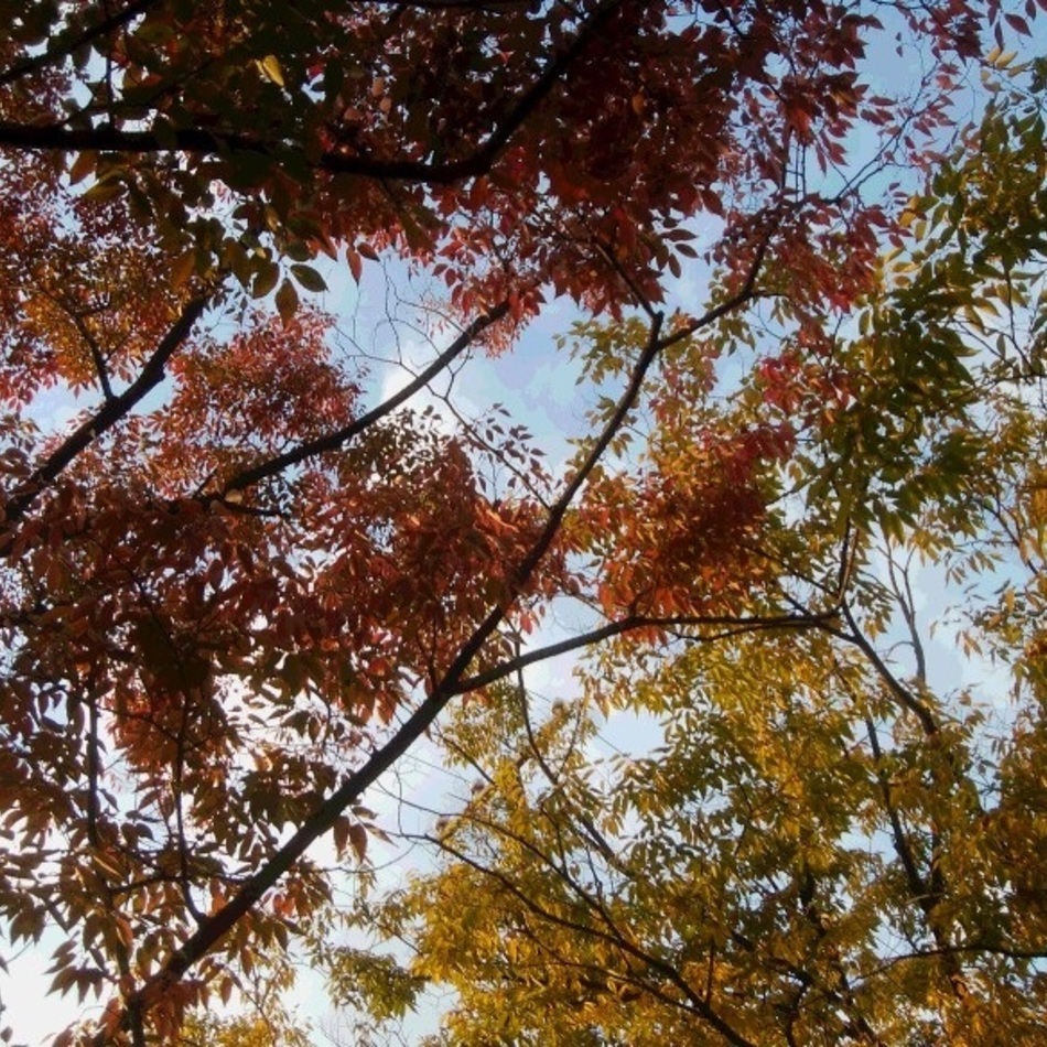 あたりのカバー写真