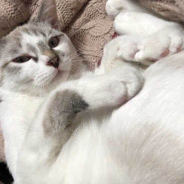 左手を捻挫しました。