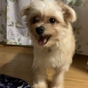 てんてん126