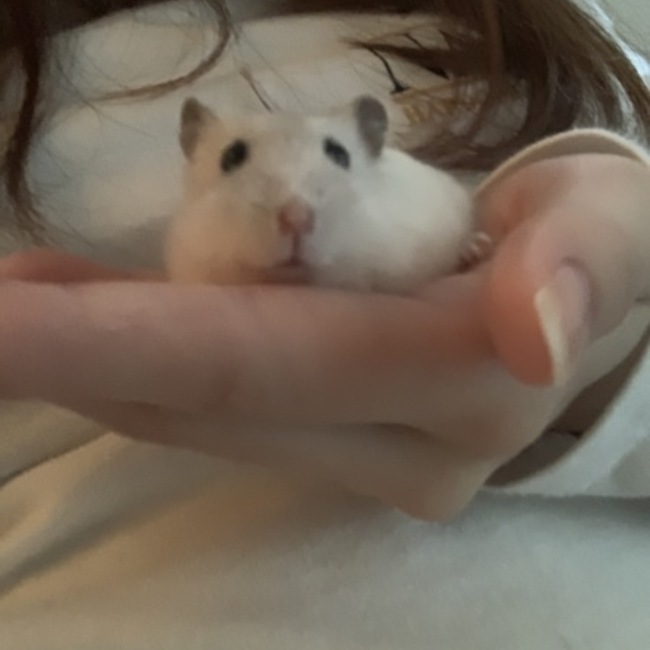 てんてん126のカバー写真