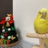 やぃ