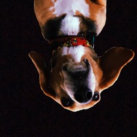 CHUCK
