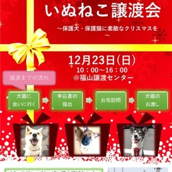 いぬねこ譲渡会~保護犬・保護猫に素敵なクリスマスを~