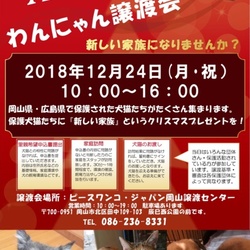 Xmasわんにゃん譲渡会