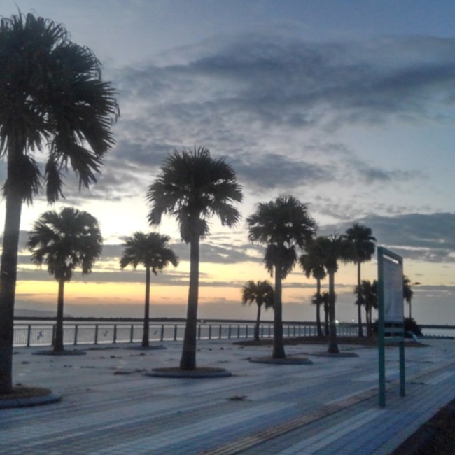 ぷりぷりまるのカバー写真