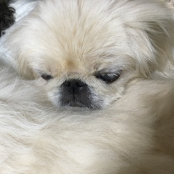 変わらない日々  ╰(*´︶`*)╯♡