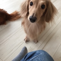 メリー