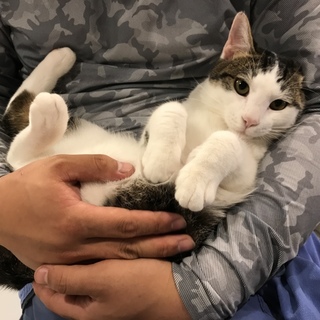 玉梓＊甘えん坊な女の子