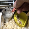 ☆サボテン☆