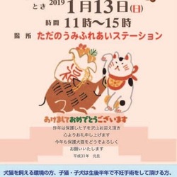 犬猫譲渡会