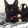 みう。