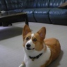 の写真