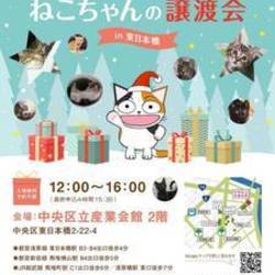 ねこざんまい譲渡会@東日本橋