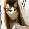 れいちゃん