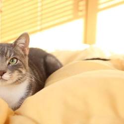 「2018-11-16」サムネイル2