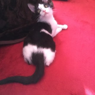 ありがとうございました