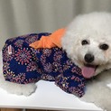 元気いっぱい甘えん坊の女の子ベルちゃんです！