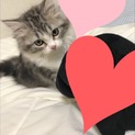 大切にしてくれる方