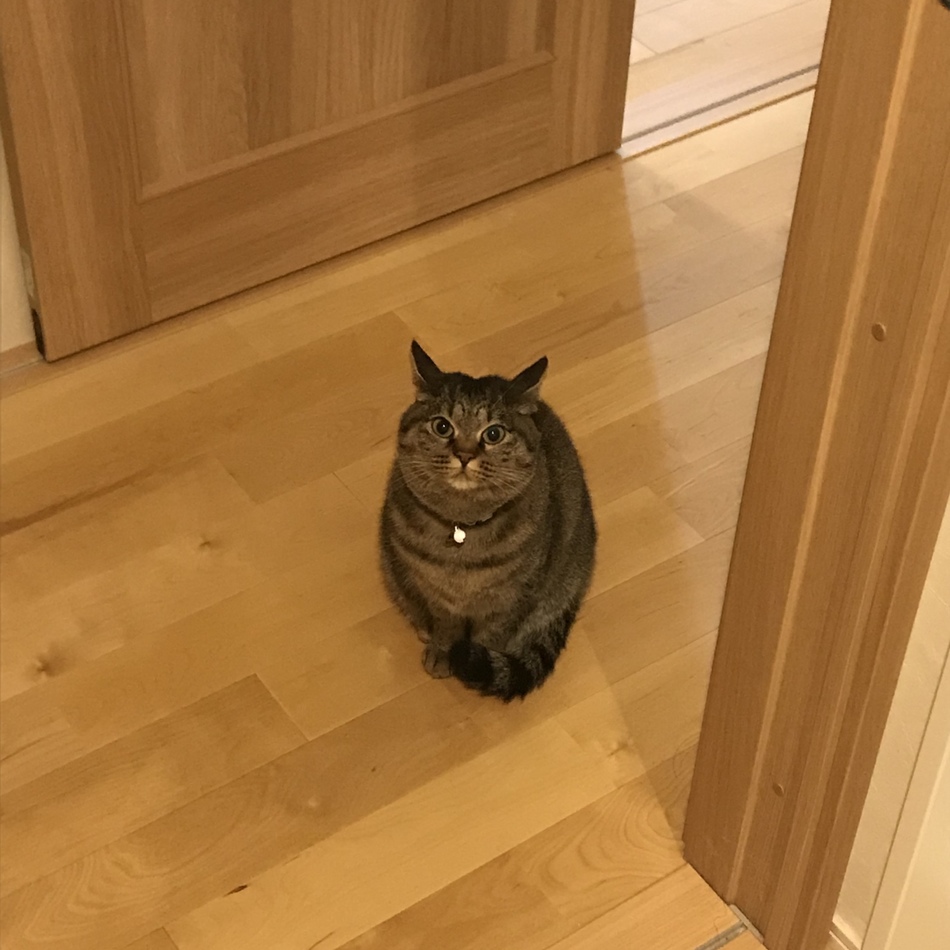 まるこのカバー写真
