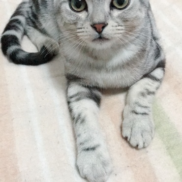 正面