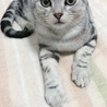 正面