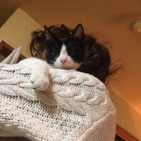 とろろ