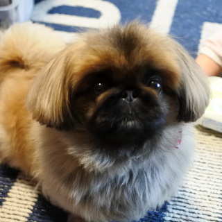 トライヤル希望の方多数のため一時中断します。