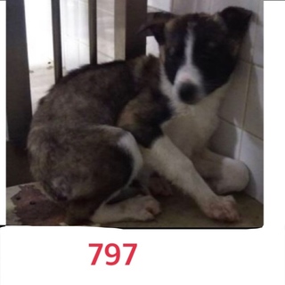 助けて下さい。怯えて過ごしています。。