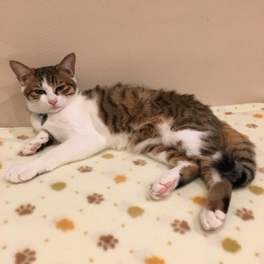 うちに来て4カ月が過ぎました。