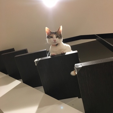 見下ろされる…