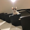 見下ろされる…