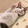 甘え上手だな