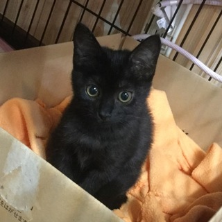 ありがとうございました