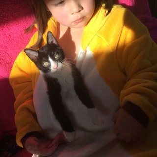 ありがとうございました