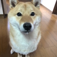 わさび