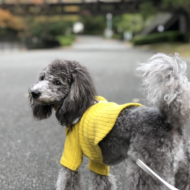 レオ☆のカバー写真