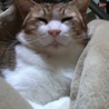 ばななちっぷす