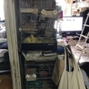 上のデグーのゲージを違う部屋にやって、空いた所にモモンガを入れたいとおもいます。