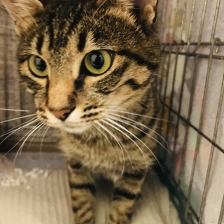 控えめな美形女子＊美篶ちゃん